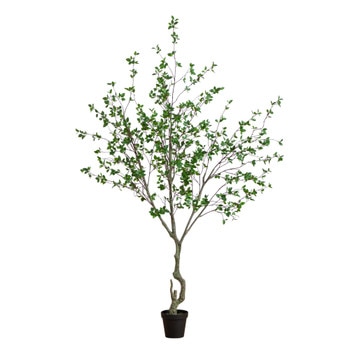 10 Minimalist Citrus Artificial Tree -This follows this citrus family naming convention on the site - SKU #T4981