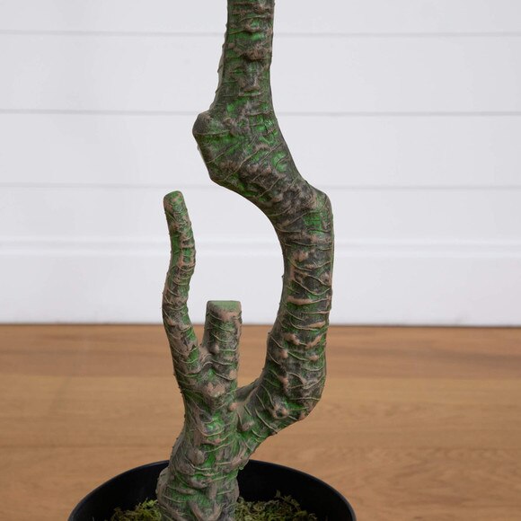 10 Minimalist Citrus Artificial Tree -This follows this citrus family naming convention on the site - SKU #T4981 - 5