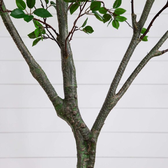 10 Minimalist Citrus Artificial Tree -This follows this citrus family naming convention on the site - SKU #T4981 - 6