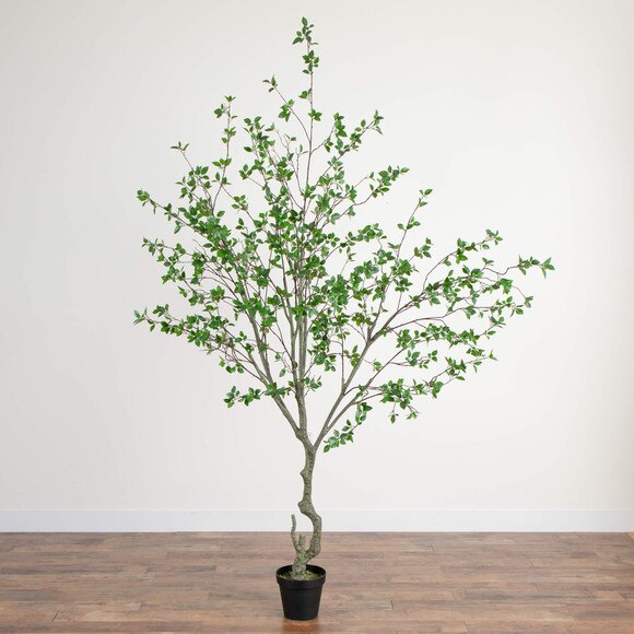 10 Minimalist Citrus Artificial Tree -This follows this citrus family naming convention on the site - SKU #T4981 - 9