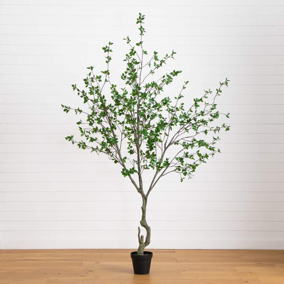 10 Minimalist Citrus Artificial Tree -This follows this citrus family naming convention on the site - SKU #T4981 - 10