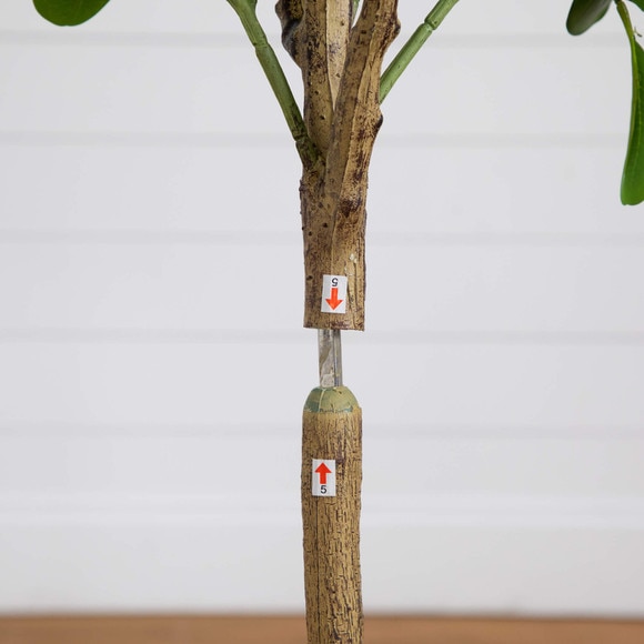 5 Artificial Audrey Ficus Tree - SKU #T4986 - 3