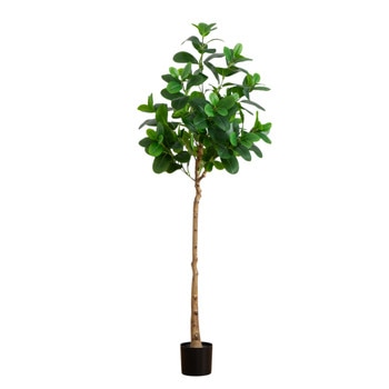 6 Artificial Audrey Ficus Tree - SKU #T4987