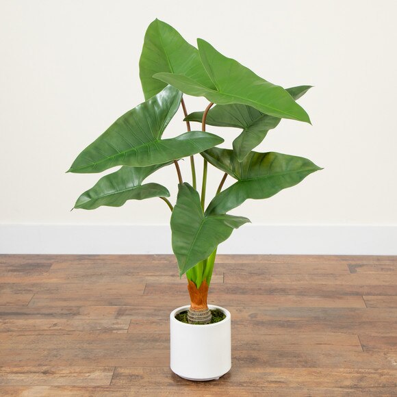 3.5 Artificial Arrowhead Philodendron in White Decorative Planter - SKU #T4997 - 6