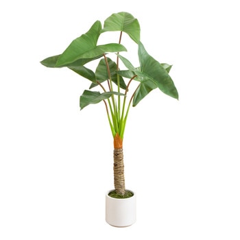 4.5 Artificial Arrowhead Philodendron in White Decorative Planter - SKU #T4998