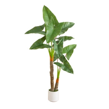 5.5 Artificial Arrowhead Philodendron in White Decorative Planter - SKU #T4999