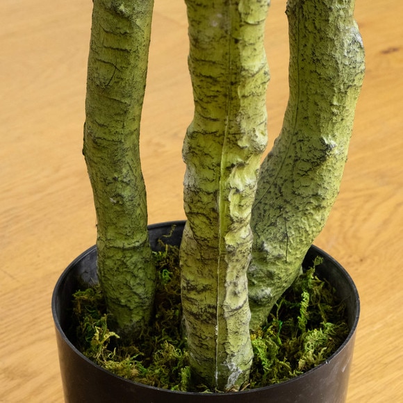 6-ft UV Resistant Artificial Bird Nest Fern Tree Indoor/Outdoor - SKU #T5182 - 5