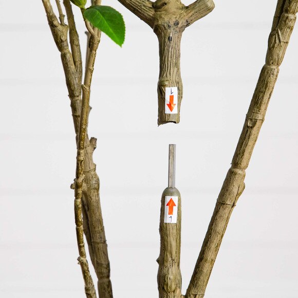 6-ft Artificial Minimalist Japanese Pieris Tree - SKU #T5183 - 4