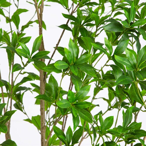 8-ft Artificial Minimalist Japanese Pieris Tree - SKU #T5184 - 3