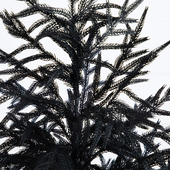 5-ft Artificial Halloween Real Touch Black Norfolk Pine Christmas Tree with Natural Look - SKU #T5243 - 2