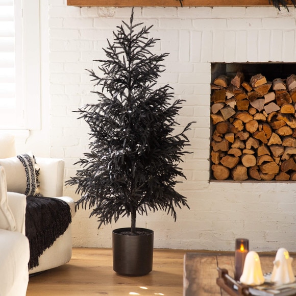 5-ft Artificial Halloween Real Touch Black Norfolk Pine Christmas Tree with Natural Look - SKU #T5243 - 6