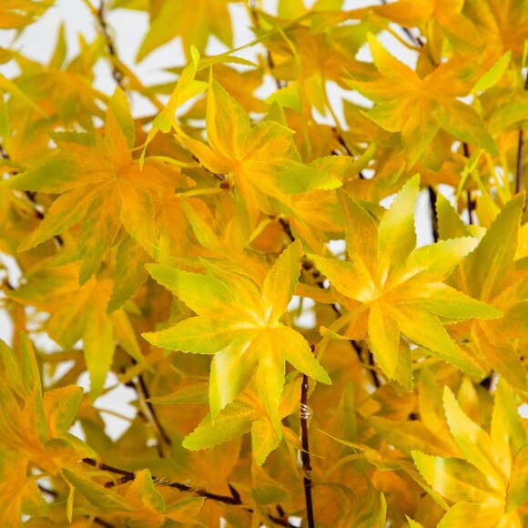 6-ft Pre-Lit Yellow Autumn Maple Artifical Fall Tree with 350 Warm White LED Lights - SKU #T5272 - 2