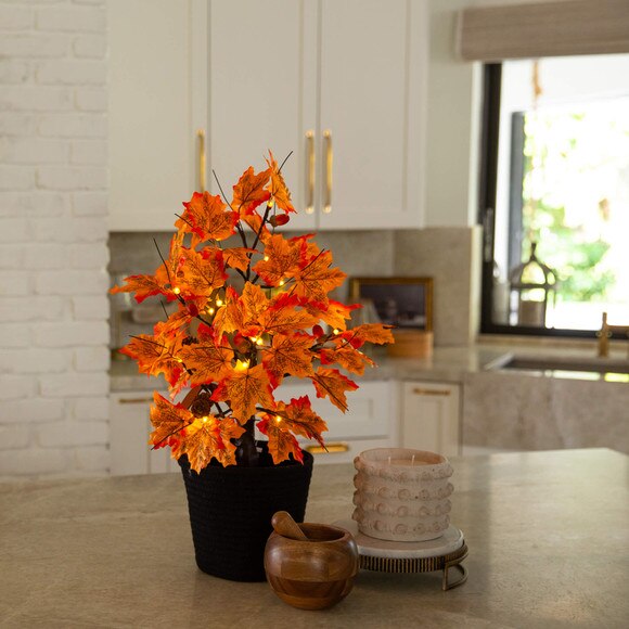 2-ft Pre-Lit Autumn Maple Artificial Fall Tree with Acorns Pinecones and 18 Warm White LED Lights - SKU #T5300 - 6