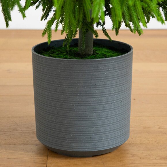 6-ft Artificial Real Touch Norfolk Island Pine Christmas Tree with Natural Look - SKU #T5369 - 4