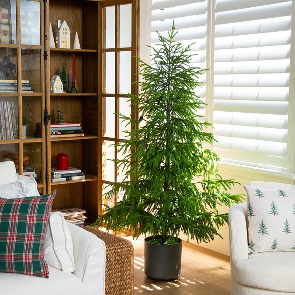 6-ft Artificial Real Touch Norfolk Island Pine Christmas Tree with Natural Look - SKU #T5369 - 5