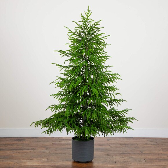 6-ft Artificial Real Touch Norfolk Island Pine Christmas Tree with Natural Look - SKU #T5369 - 6