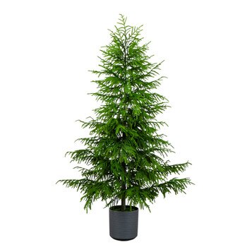 7-ft Artificial Real Touch Norfolk Island Pine Christmas Tree with Natural Look - SKU #T5371