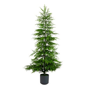 8-ft Artificial Real Touch Norfolk Island Pine Christmas Tree with Natural Look - SKU #T5372