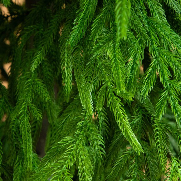 8-ft Artificial Real Touch Norfolk Island Pine Christmas Tree with Natural Look - SKU #T5372 - 2