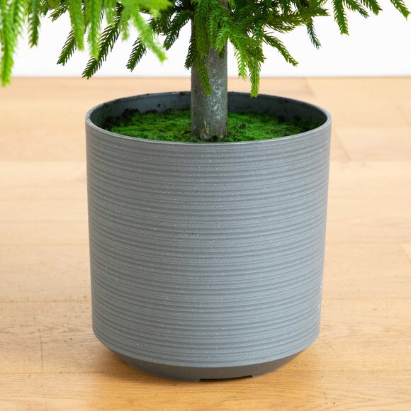 8-ft Artificial Real Touch Norfolk Island Pine Christmas Tree with Natural Look - SKU #T5372 - 4