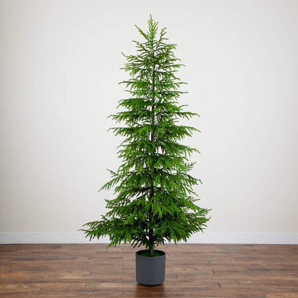 8-ft Artificial Real Touch Norfolk Island Pine Christmas Tree with Natural Look - SKU #T5372 - 8