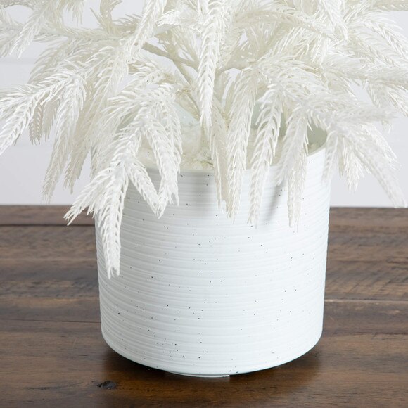 2-ft Artificial Real Touch White Norfolk Island Pine Christmas Tree with Natural Look - SKU #T5376 - 3