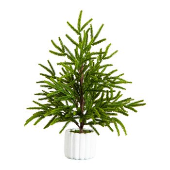 22-in Artificial Real Touch Norfolk Island Pine in White Decorative Planter with Natural Look - SKU #T5383