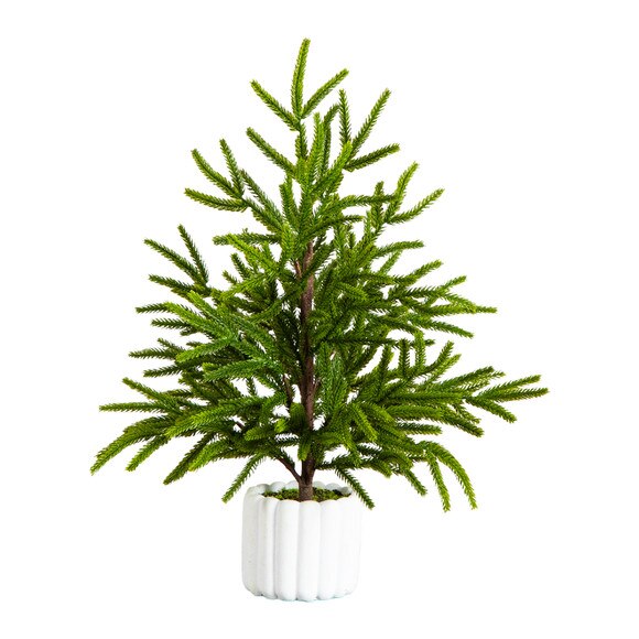 22-in Artificial Real Touch Norfolk Island Pine in White Decorative Planter with Natural Look - SKU #T5383