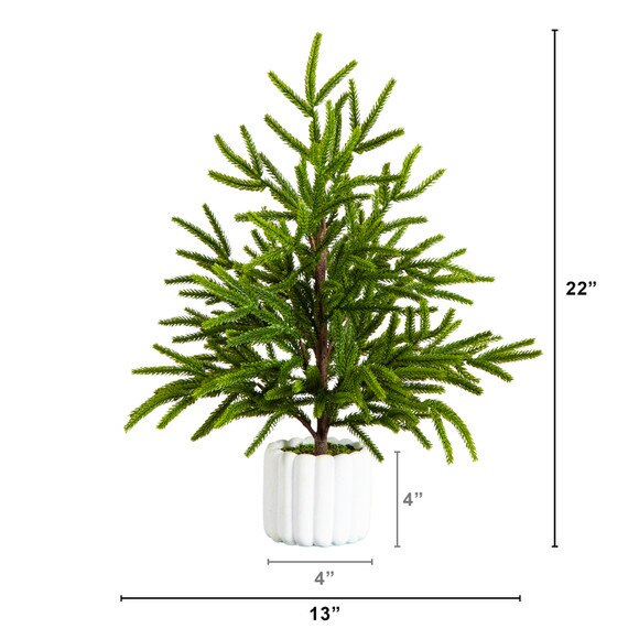 22-in Artificial Real Touch Norfolk Island Pine in White Decorative Planter with Natural Look - SKU #T5383 - 1