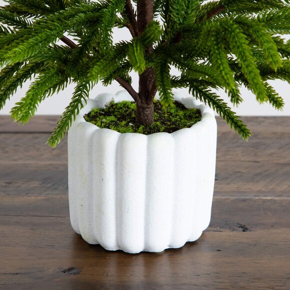 22-in Artificial Real Touch Norfolk Island Pine in White Decorative Planter with Natural Look - SKU #T5383 - 4