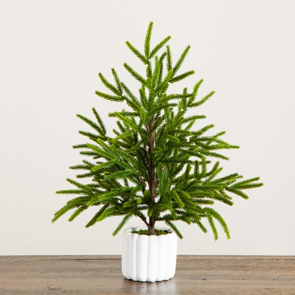 22-in Artificial Real Touch Norfolk Island Pine in White Decorative Planter with Natural Look - SKU #T5383 - 6