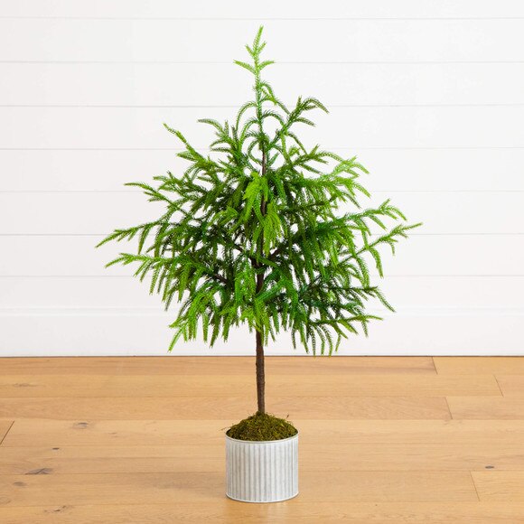 3-ft Artificial Real Touch Norfolk Island Pine in Metal Tin Planter with Natural Look - SKU #T5384 - 8