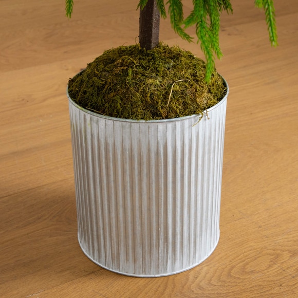 5-ft Artificial Real Touch Norfolk Island Pine in Metal Tin Planter with Natural Look - SKU #T5385 - 2