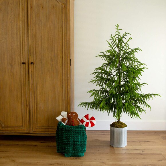 5-ft Artificial Real Touch Norfolk Island Pine in Metal Tin Planter with Natural Look - SKU #T5385 - 6