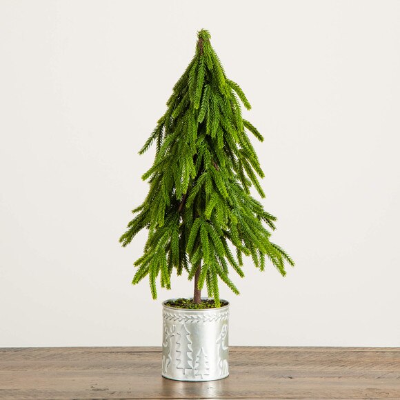 20-in Artificial Real Touch Down Swept Norfolk Island Pine in Christmas Tin Metal Planter with Natural Look - SKU #T5389 - 8