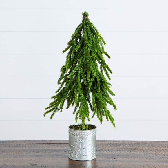 20-in Artificial Real Touch Down Swept Norfolk Island Pine in Christmas Tin Metal Planter with Natural Look - SKU #T5389 - 9