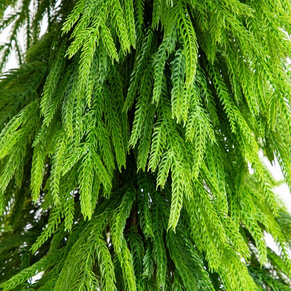 5-ft Artificial Real Touch Down Swept Norfolk Pine Tree with Natural Look - SKU #T5398 - 2