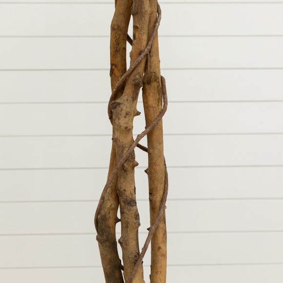 6 Triple Trunk Ficus Artificial Tree with Natural Trunks in Handmade Natural Jute and Cotton Planter - SKU #T5469 - 2