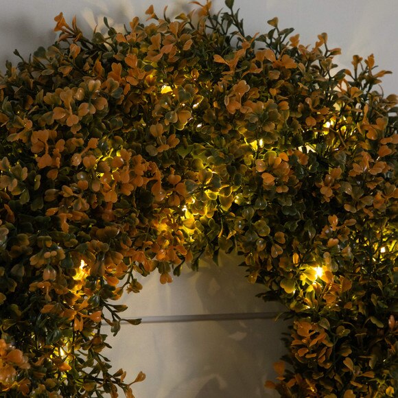 18-in Pre-Lit Autumn Boxwood Artificial Fall Wreath with 25 Warm White LED Lights - SKU #W1389 - 3