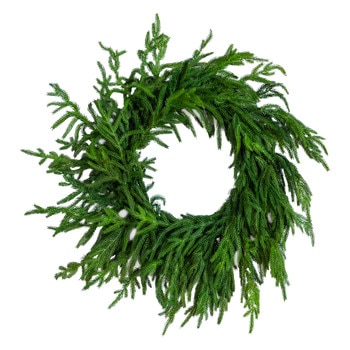 24-in Artificial Real Touch Norfolk Island Pine Wreath with Natural Look - SKU #W1396