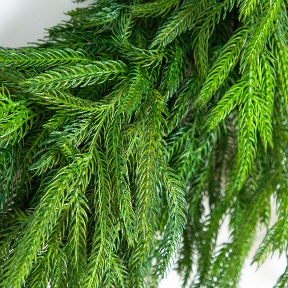 24-in Artificial Real Touch Norfolk Island Pine Wreath with Natural Look - SKU #W1396 - 2